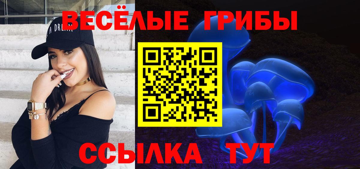 Псилоцибиновые грибы GOLDEN TEACHER Карталы