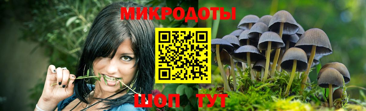 Галлюциногенные грибы Magic Shrooms  Вход с VPN  Карталы 